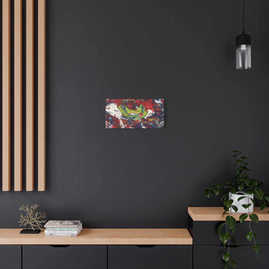 Abstract Burst Matte Canvas Print Eye Colorful Modern Wall Art, Stretched 1.25"